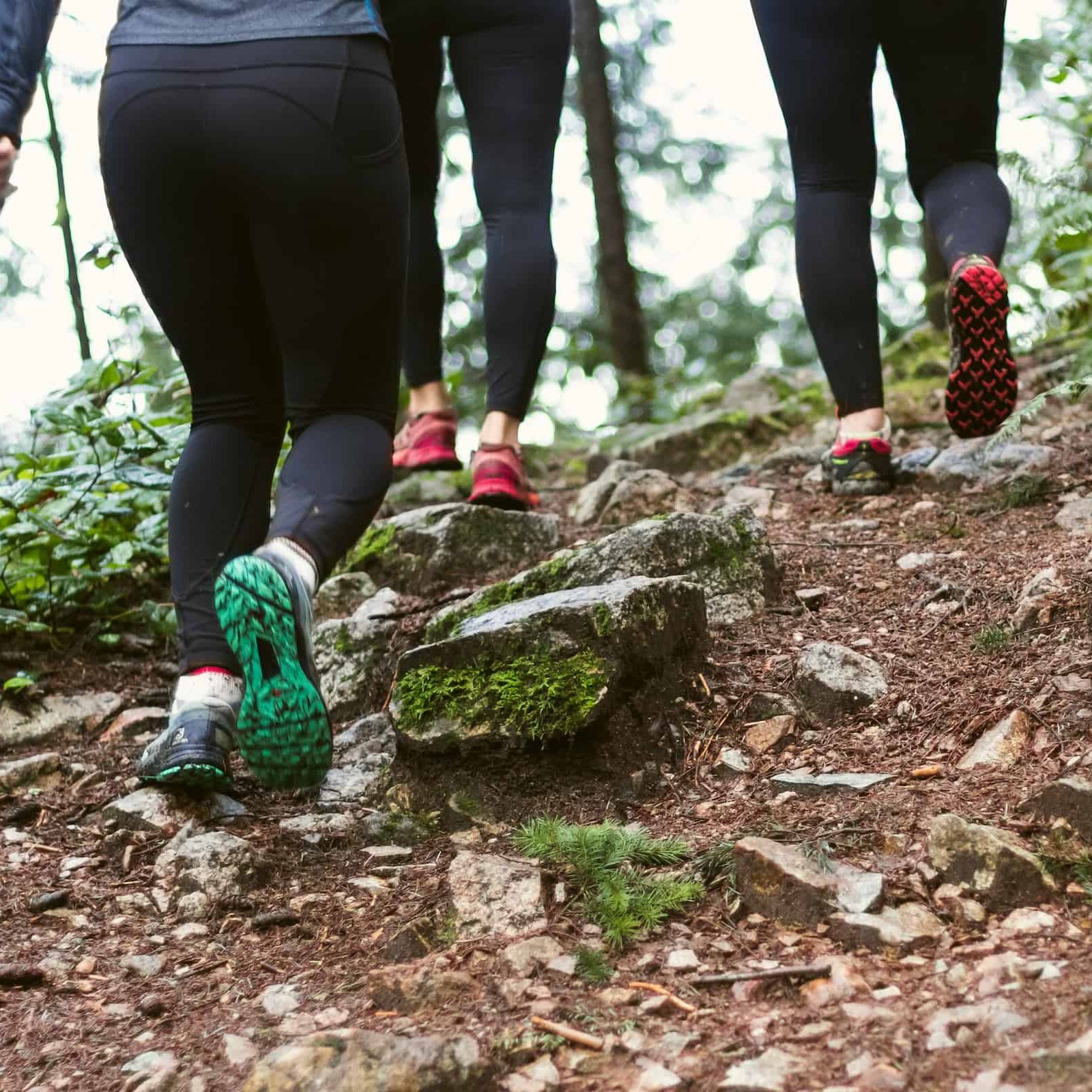 Mennesker går på en sti i en skog